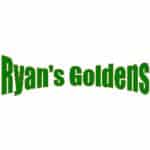 Ryan’s Goldens