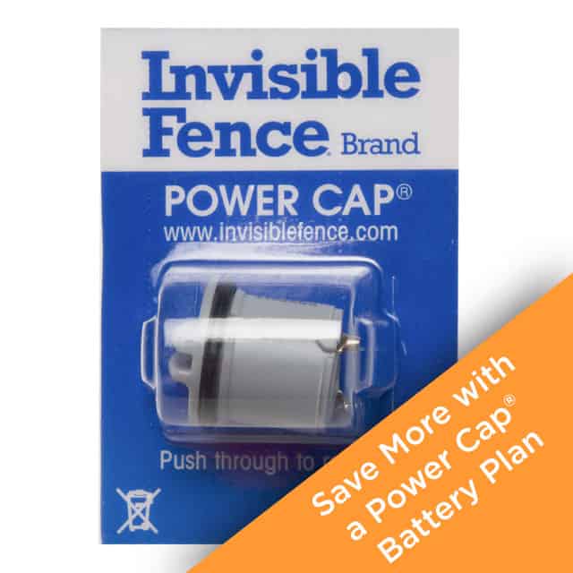 Invisible Fence® Brand (@invisiblefence) • Instagram photos and videos
