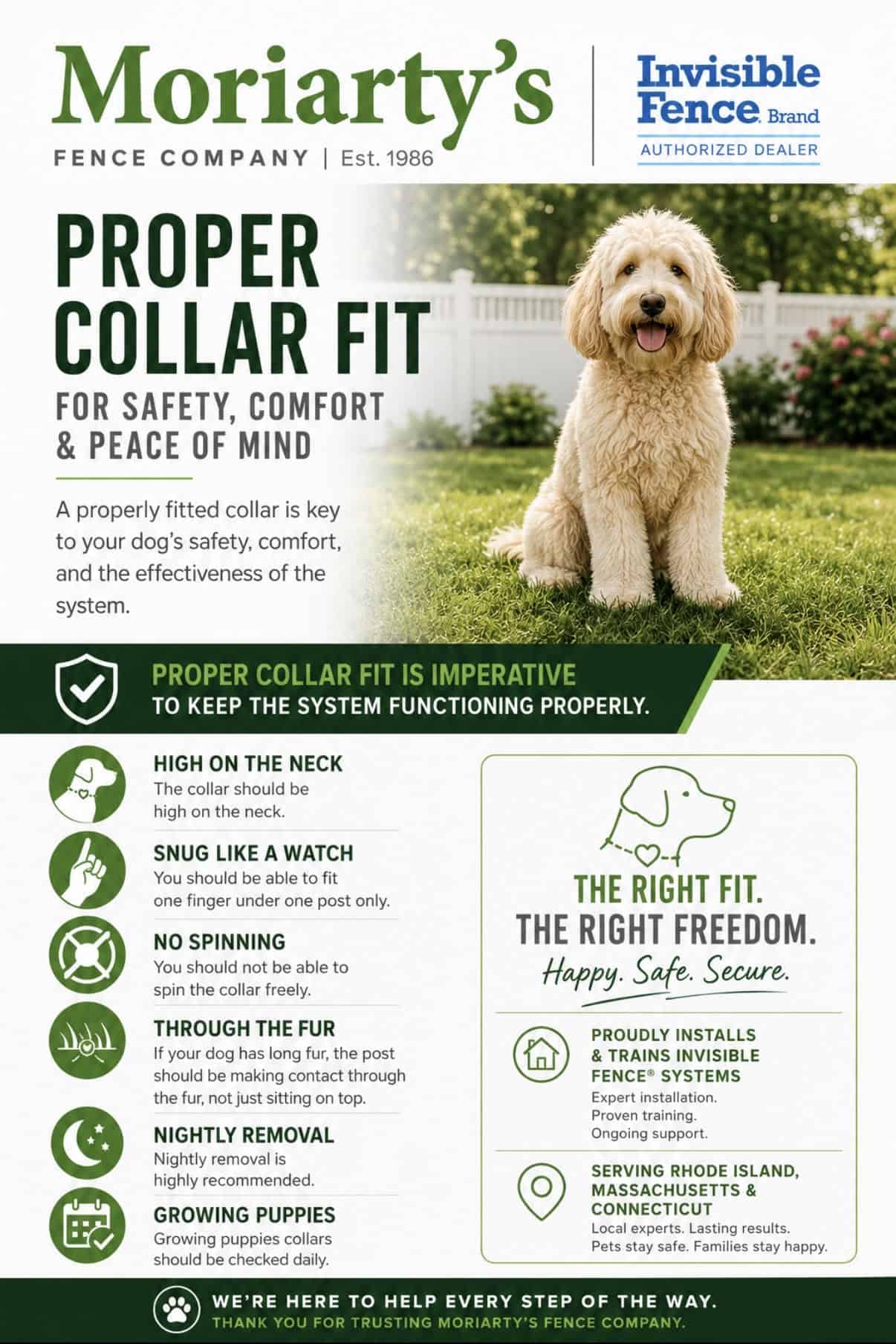 proper wired dog collar fit guide